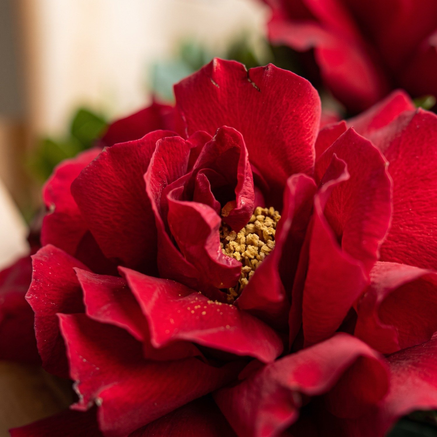 Buquê com 3 Rosas Vermelhas Chiq