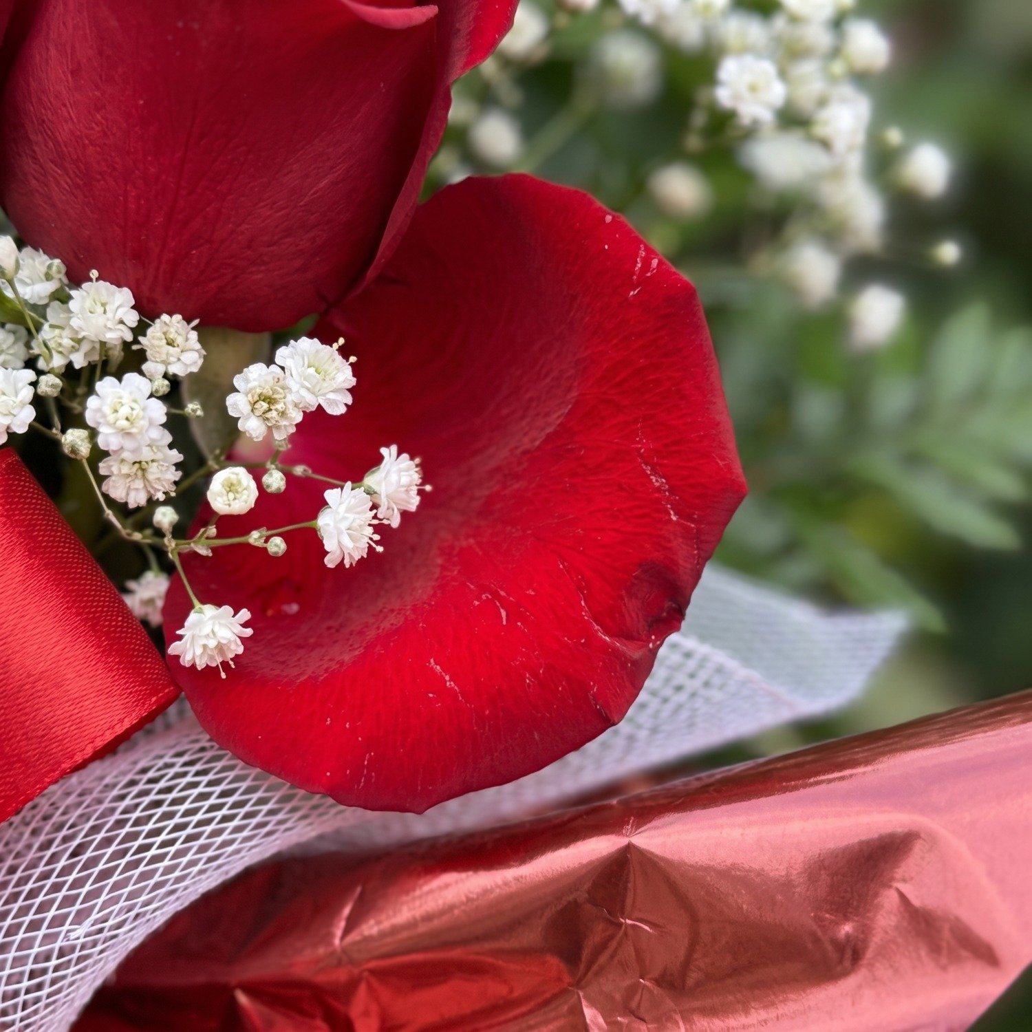 Nuvem de Rosas Florir