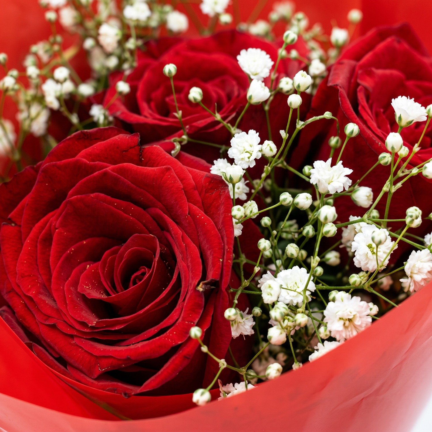 Buquê 3 Rosas Vermelhas Charme
