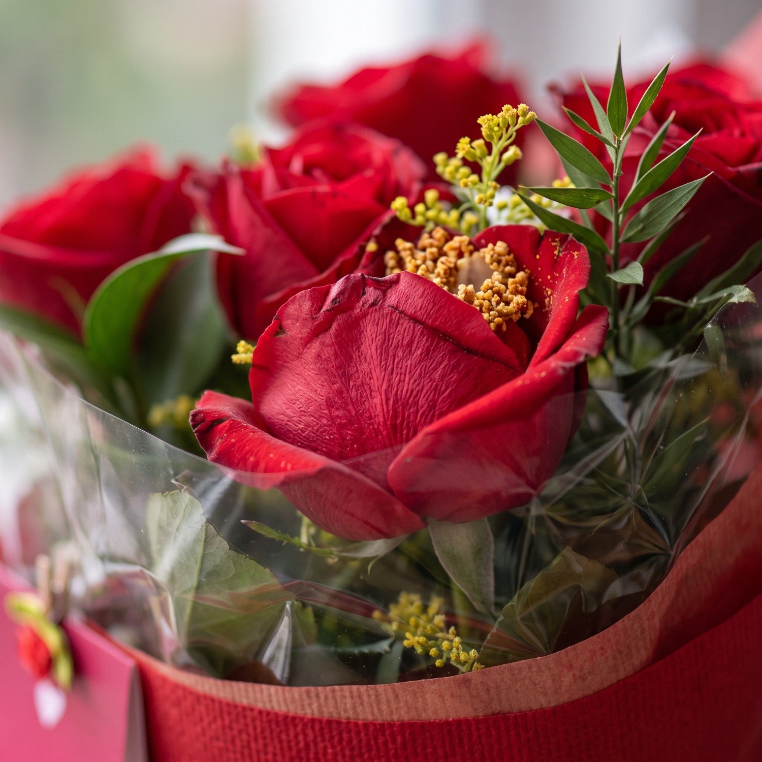 Buquê de Rosas Puro Amor