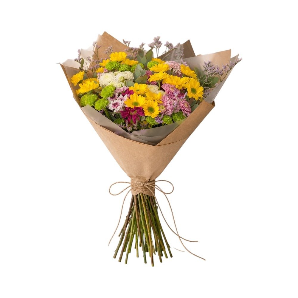 Magia e Alegria