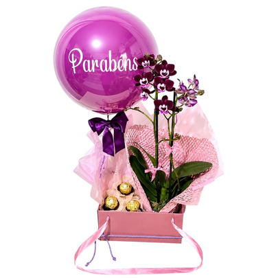 Presente Mini Orquídea Natural, Chocolate e Balão
