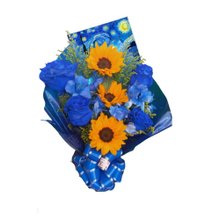 Van Gogh Premium