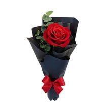 Rosa Elegante