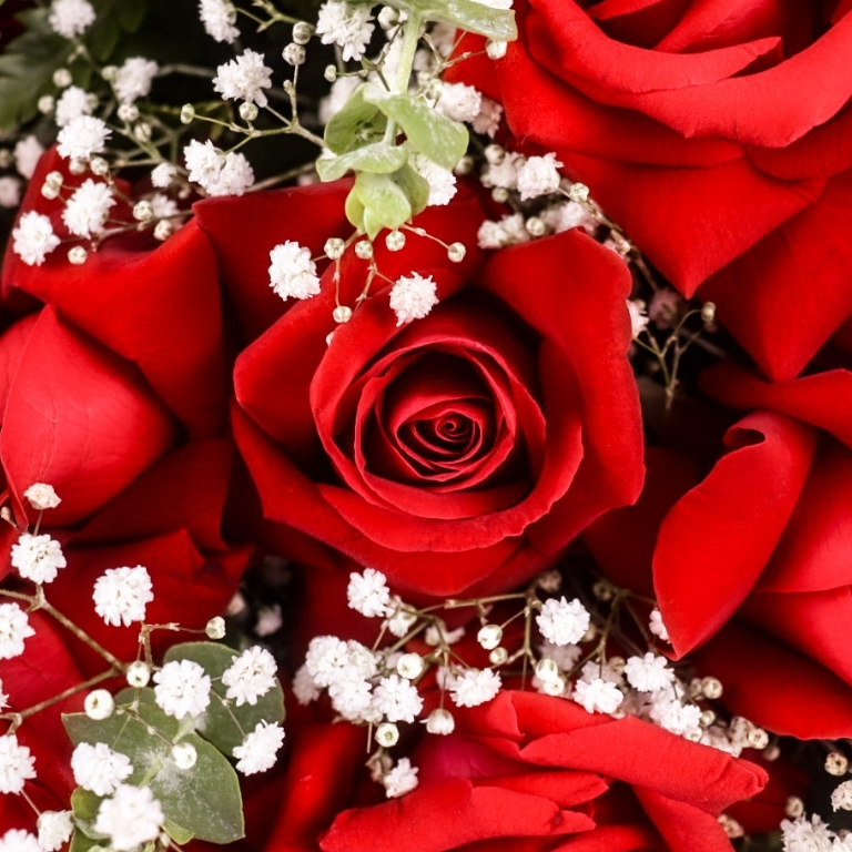 Buquê de 12 Rosas Vermelhas 