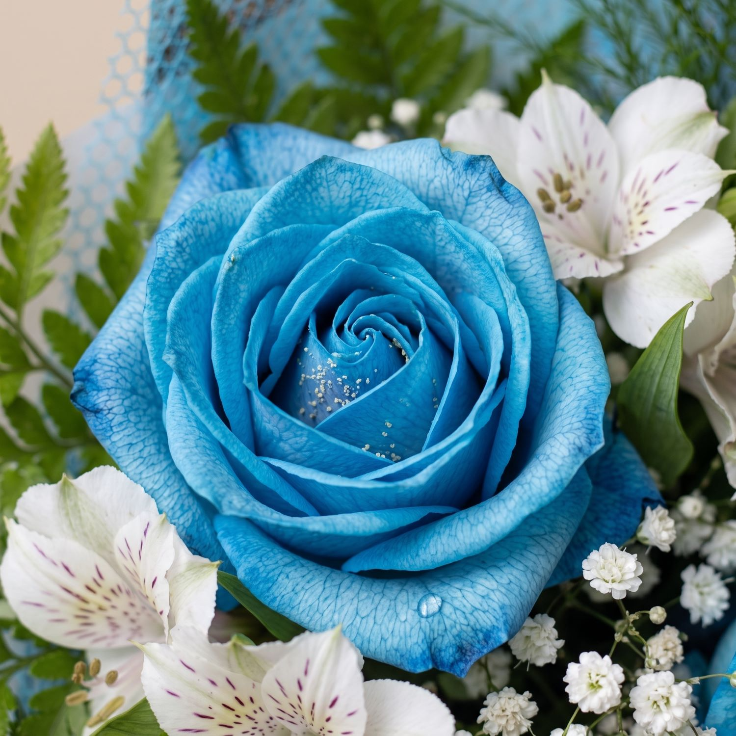Buquê de 3 Rosas Azuis 