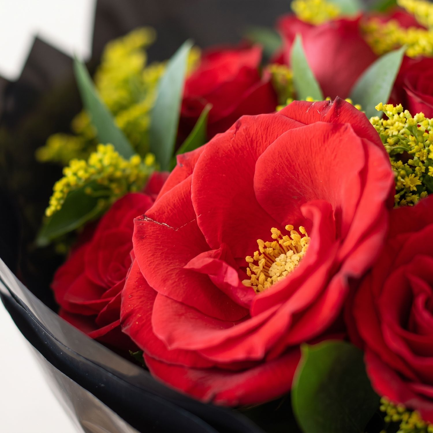Buquê Black de 12 Rosas Vermelhas 