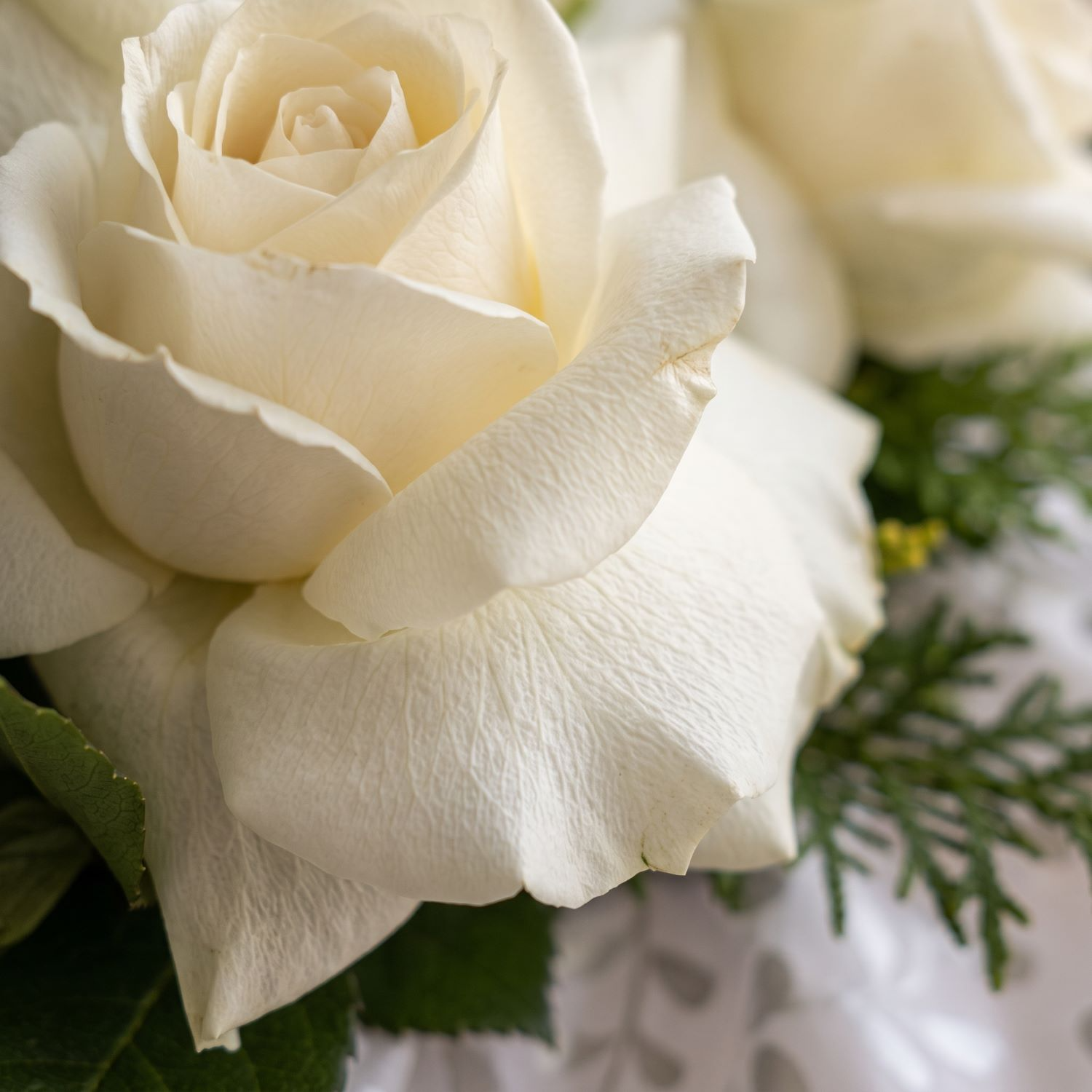Arranjo com Rosas Brancas 