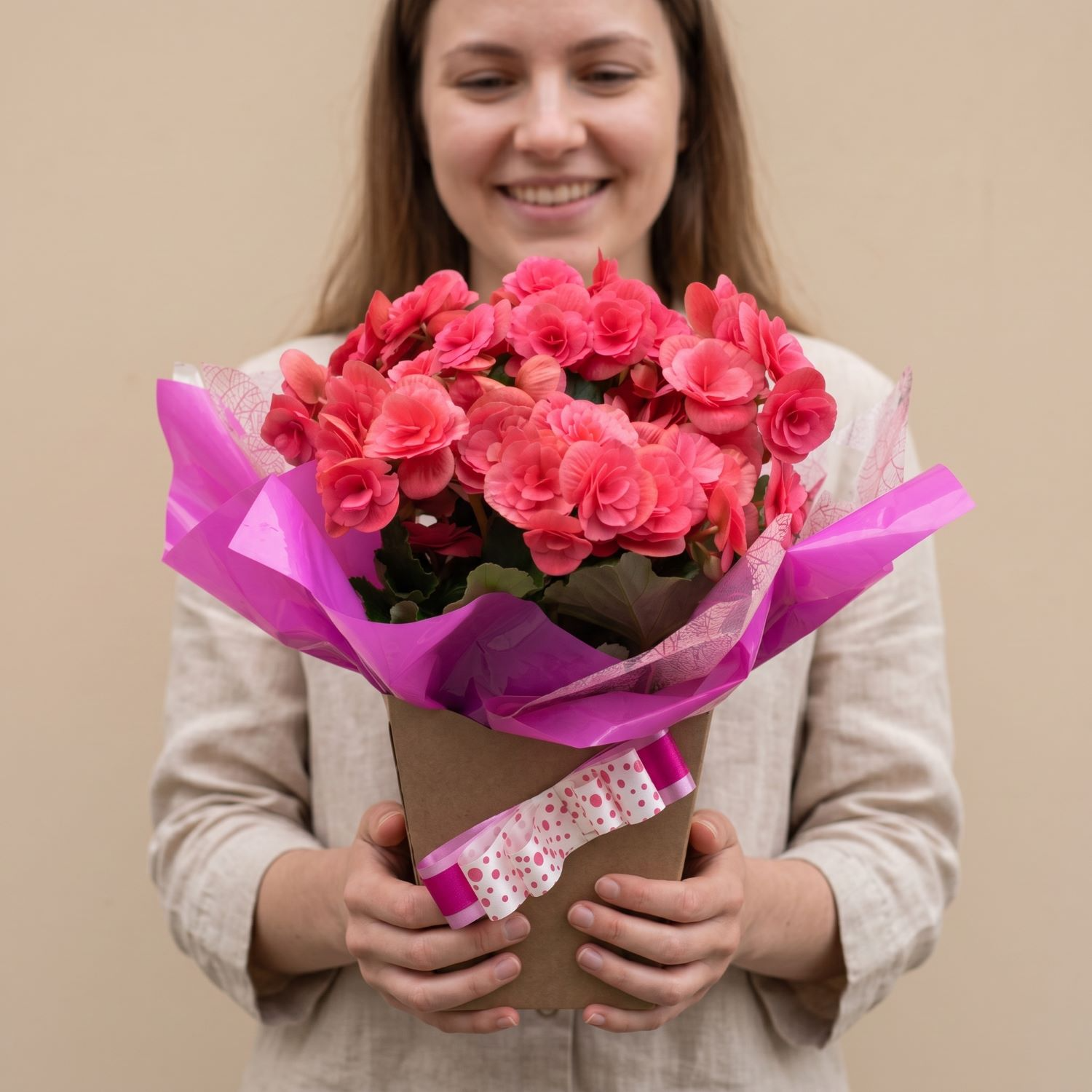 Begônias Rosa Plantadas 