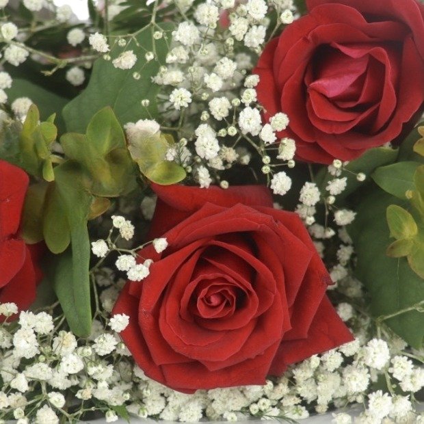 Buquê Black de 3 Rosas Vermelhas 