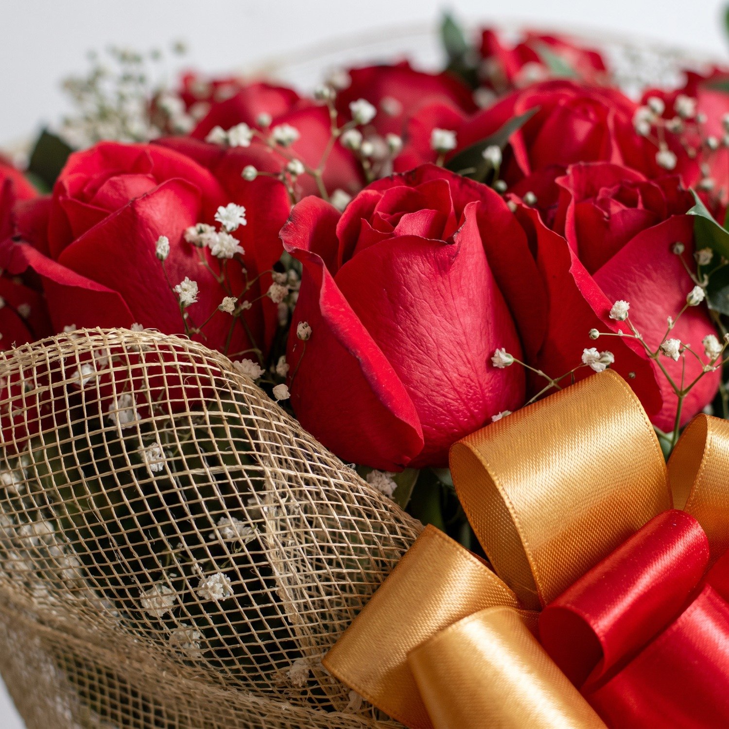 Buquê de 15 Rosas Vermelhas na Tela