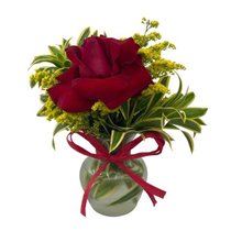 Arranjo de Uma Rosa no Vidro 