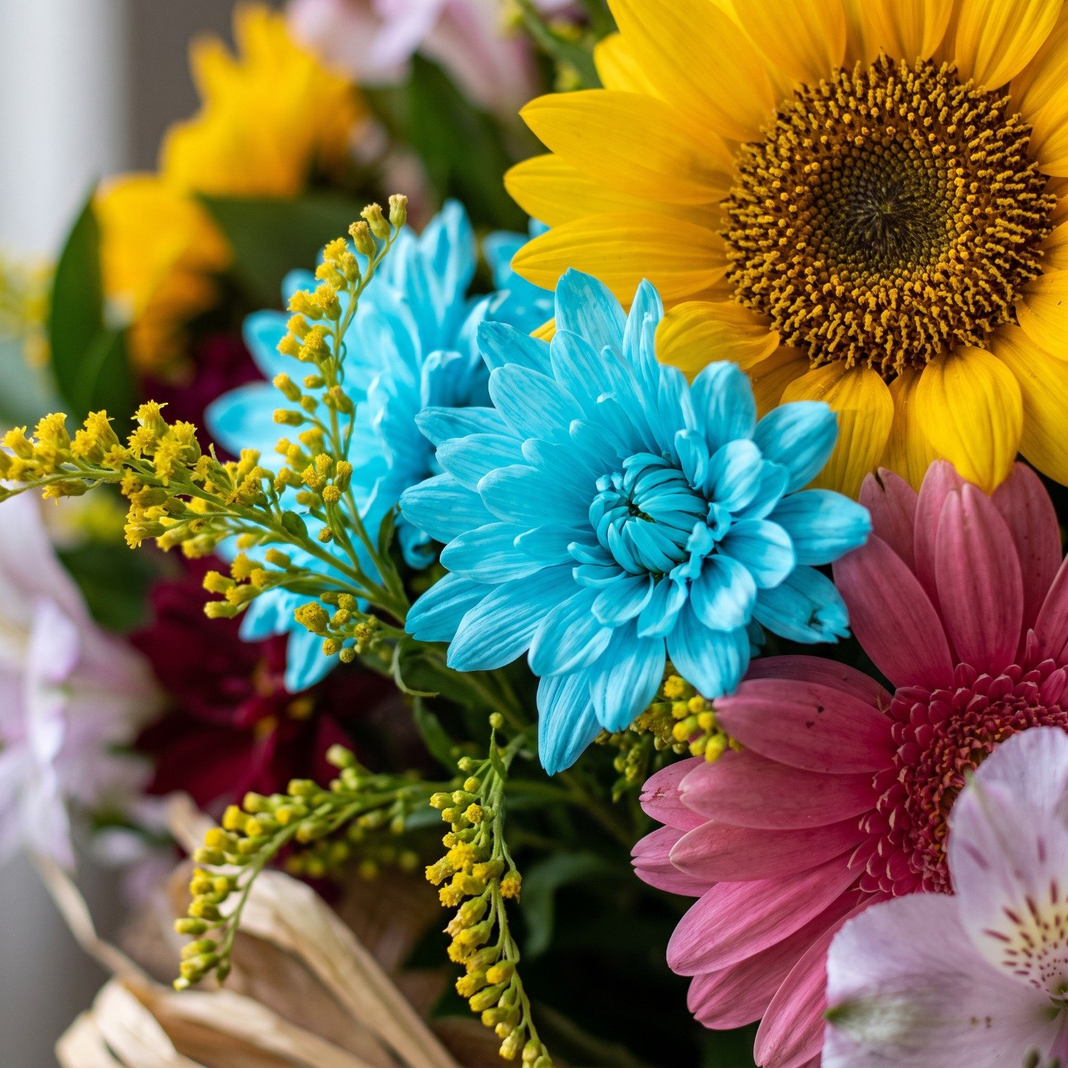 Flores do Campo
