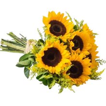 Ramo Girassol