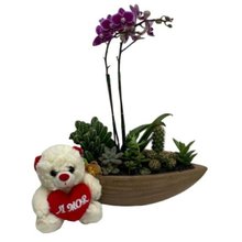 Canoa Aço Mini Orquídea cactos suculentas e Urso