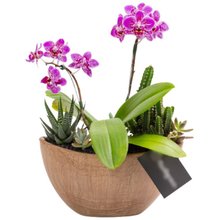 Arca Aço Corten Mini Orquídea, Cactos e Suculentas