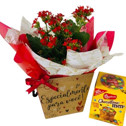 Calandiva Especial Para Você com Mini Chocottone