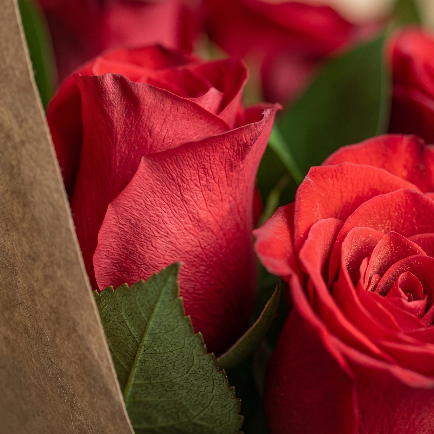 Buque de 10 Rosas Vermelhas