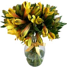 Luxuoso Arranjo de Astromelia Amarela no Vaso de Vidro