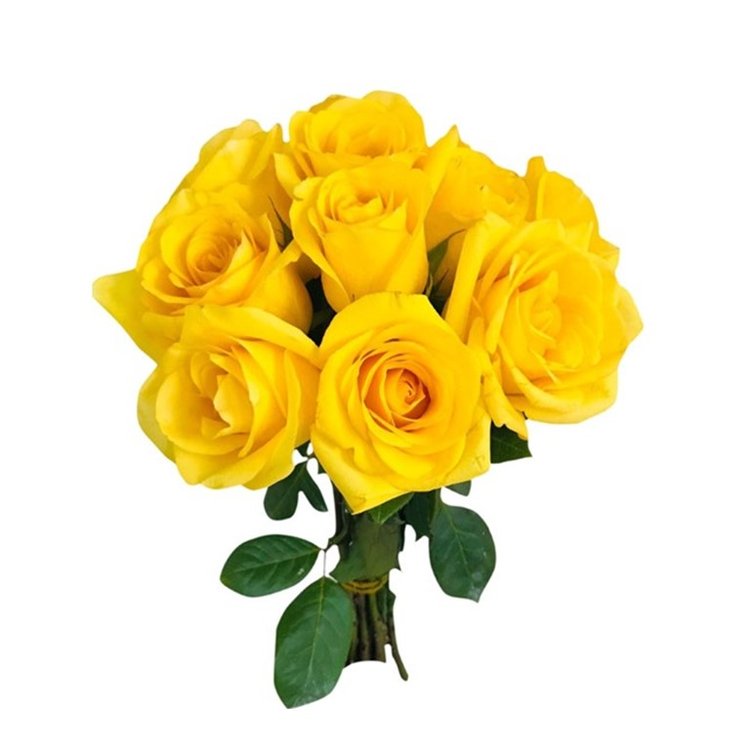 Buquê de 10 Rosas Amarelas