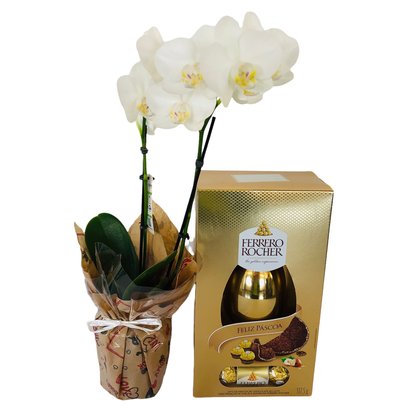 Mini Orquídea com Ovo Ferrero Rocher