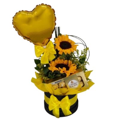 Box Raio de Sol