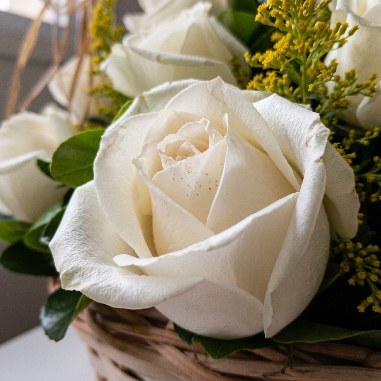 Cesta com 24 Rosas Brancas
