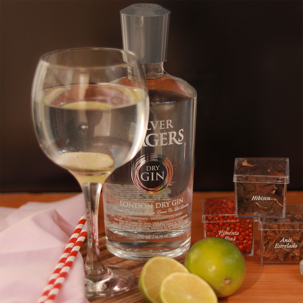 kit Gin e Especiarias