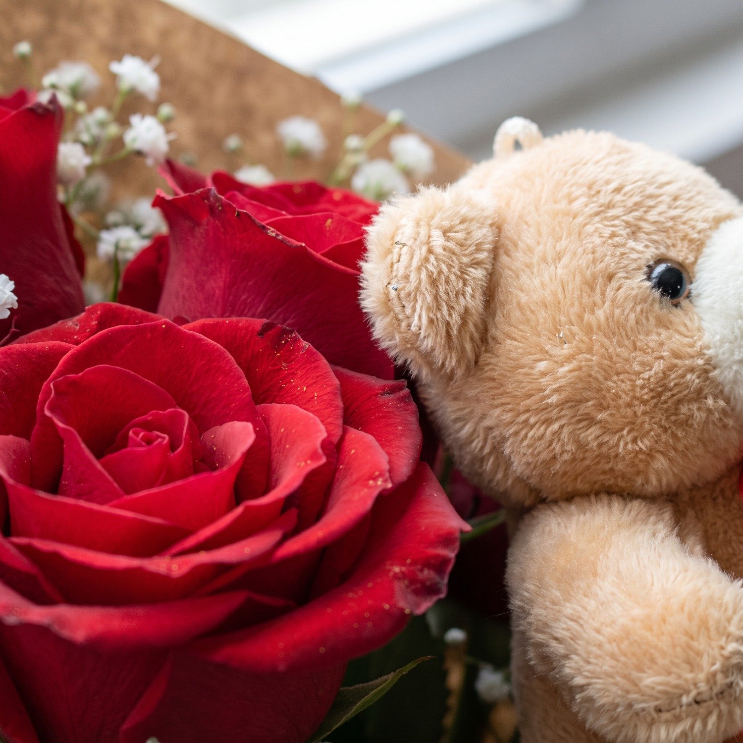 Buquê de Rosas Vermelhas com Urso de Pelúcia