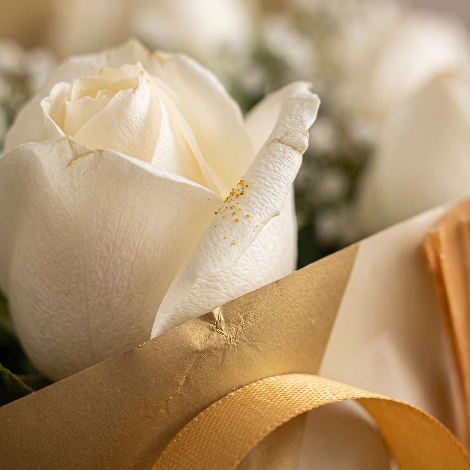 Buquê de Rosas Brancas