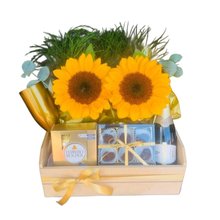 Cesta Afeto e Girassol Iluminado