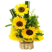 Arranjo de Girassóis