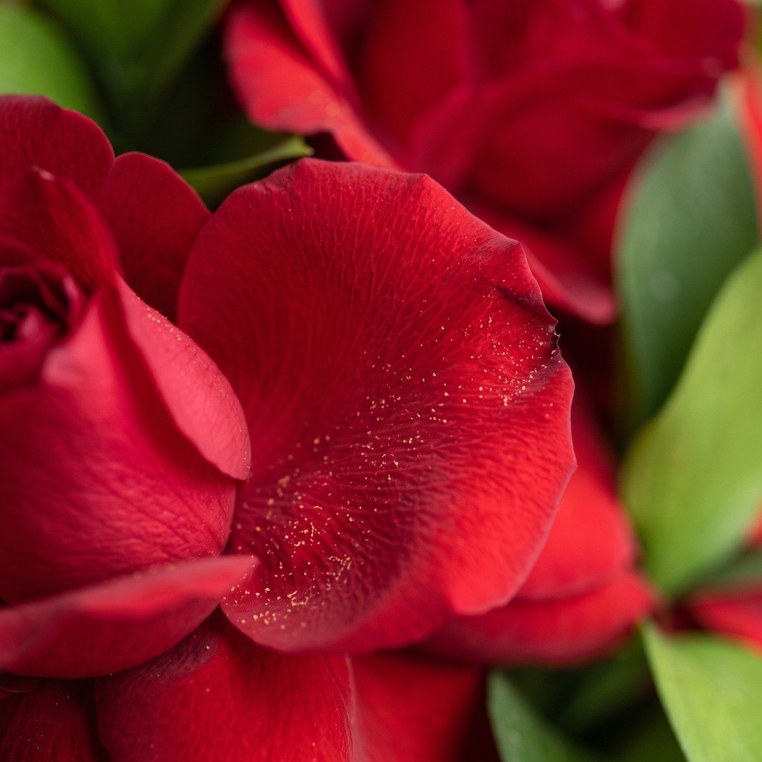 Arranjo de Rosas Vermelhas Romântico