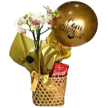 Orquídea Com Carinho Golg