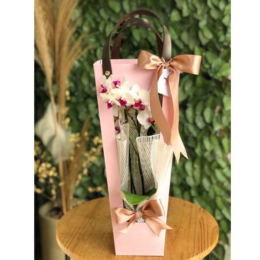 Presente com Orquídea e Caneca 