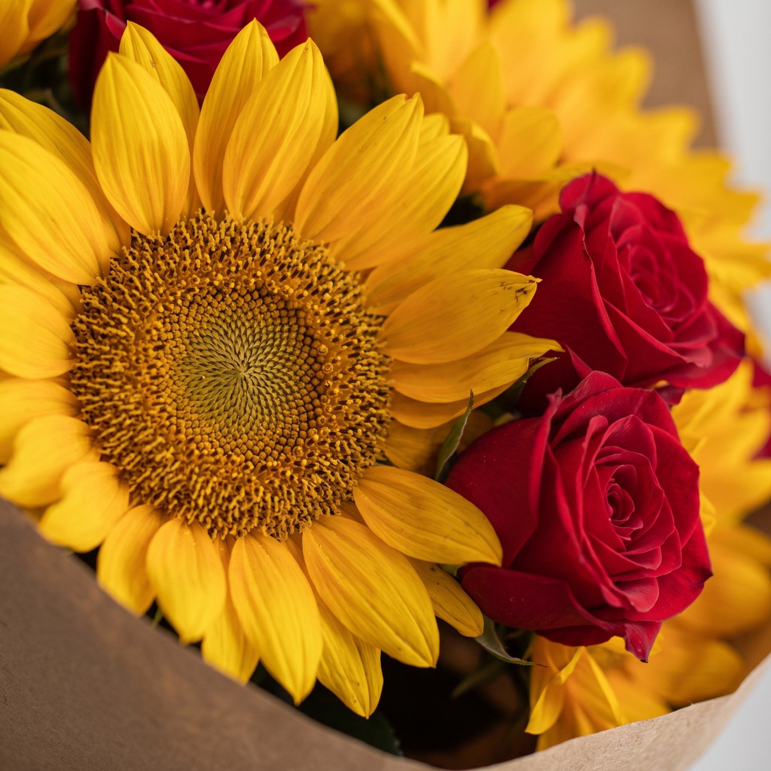 Buquê Aya Rosas e Girassóis
