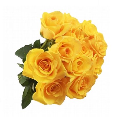 Lindo Buquê 12 Rosas Amarelas