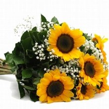 Buquê Lindos Seis Girassóis