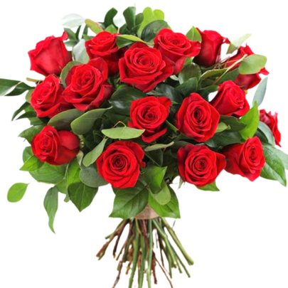 20 Rosas Colombianas Vermelhas