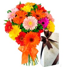 Buquê Luxuosas Gérberas e Bombons