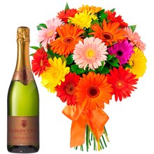 Buquê Luxuosas Gérberas e Chandon Brut, 750ml 
