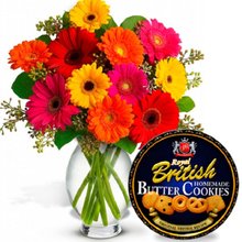 Vaso Luxuosas 12 Gérberas e Cookies Butter
