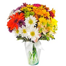 Flores Campestres em Vaso