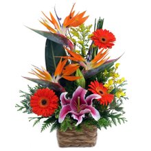 Arranjo Nobre Flores Mix