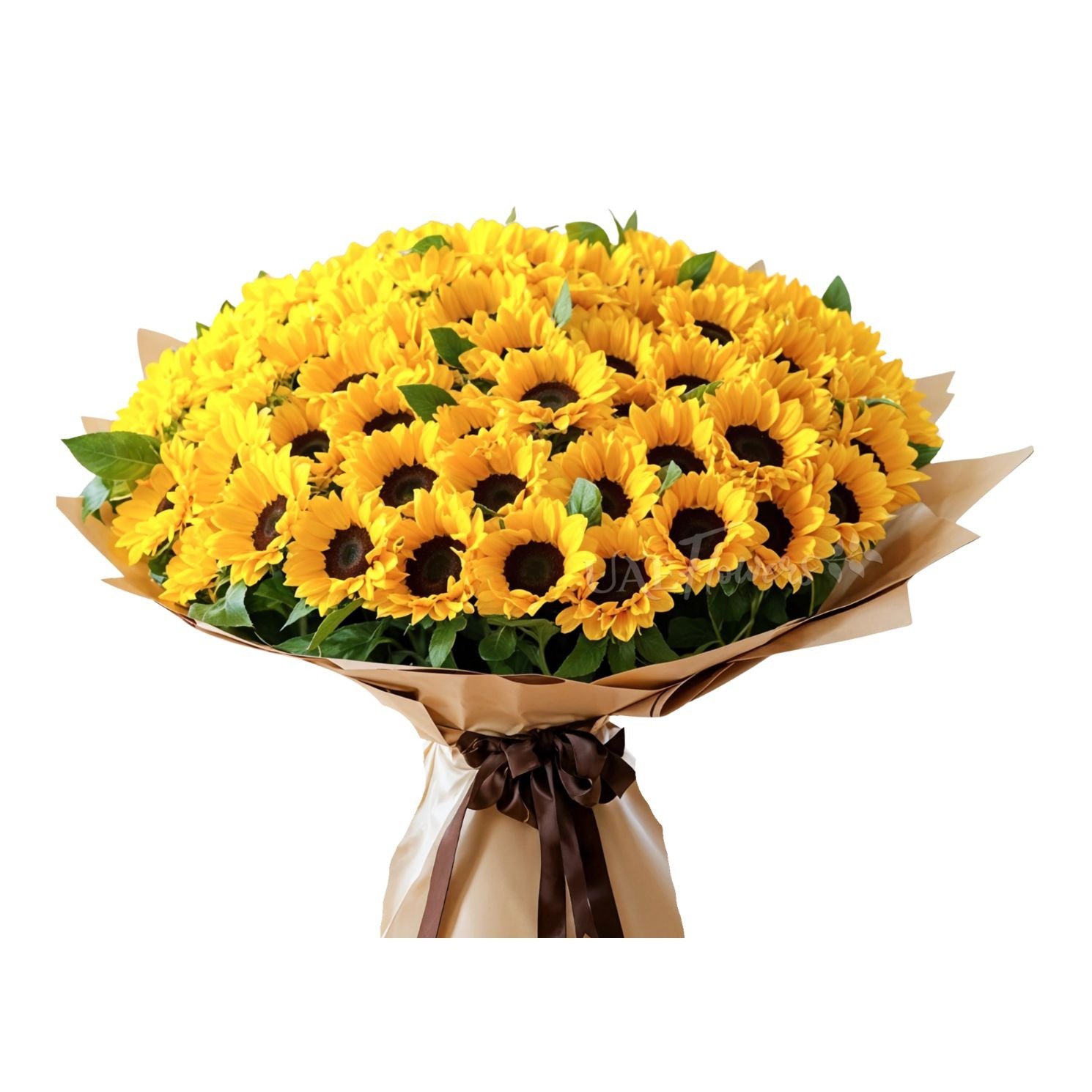 Mega Buquê 60 Girassóis