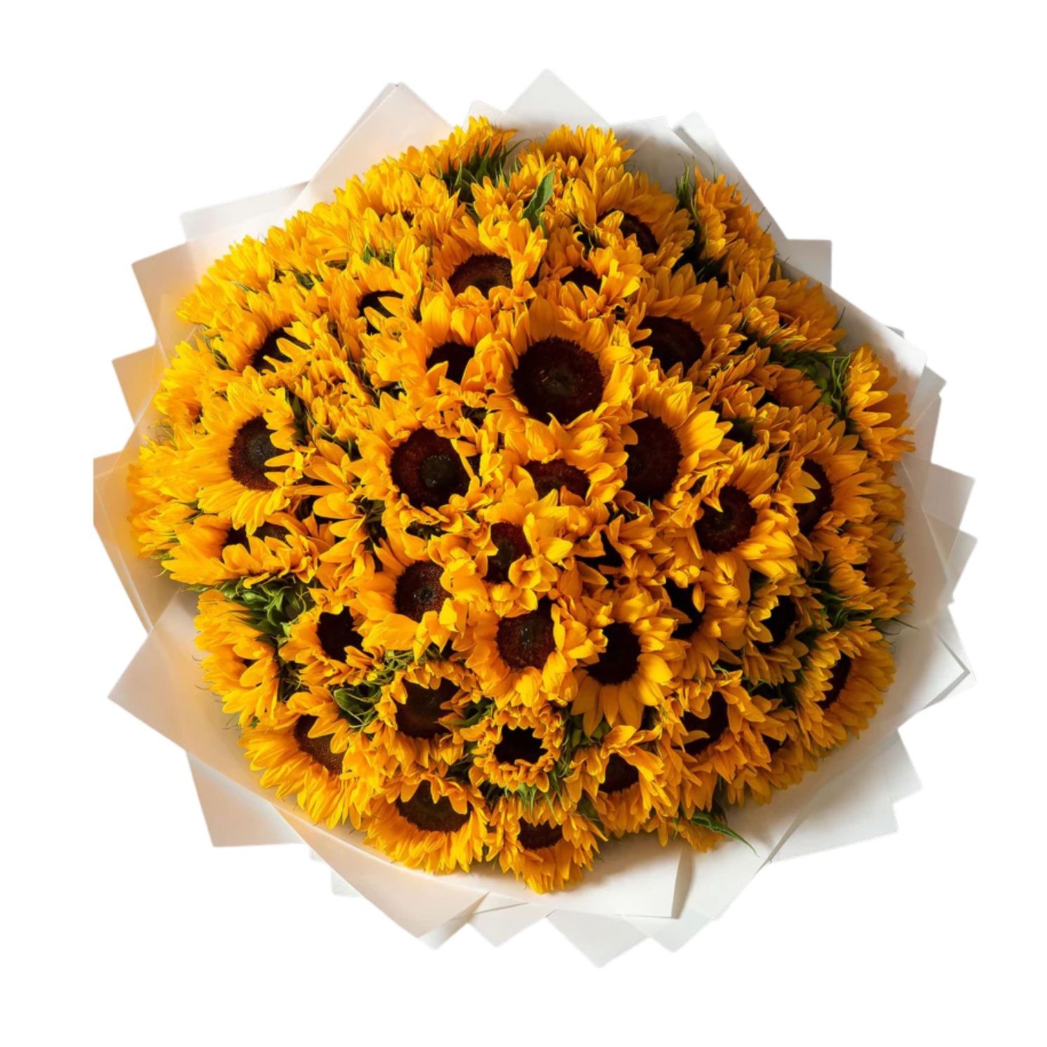 Mega Buquê 50 Girassóis