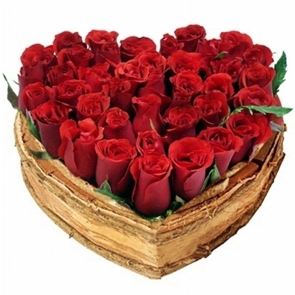 Meu Coração Apaixonado