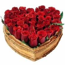 Meu Coração Apaixonado