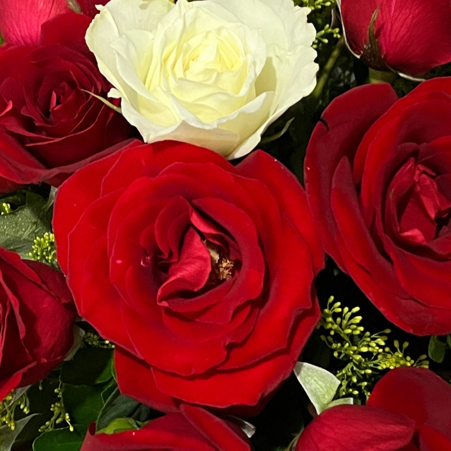Cesta de 29 Rosas Vermelhas e 1 Rosa Branca