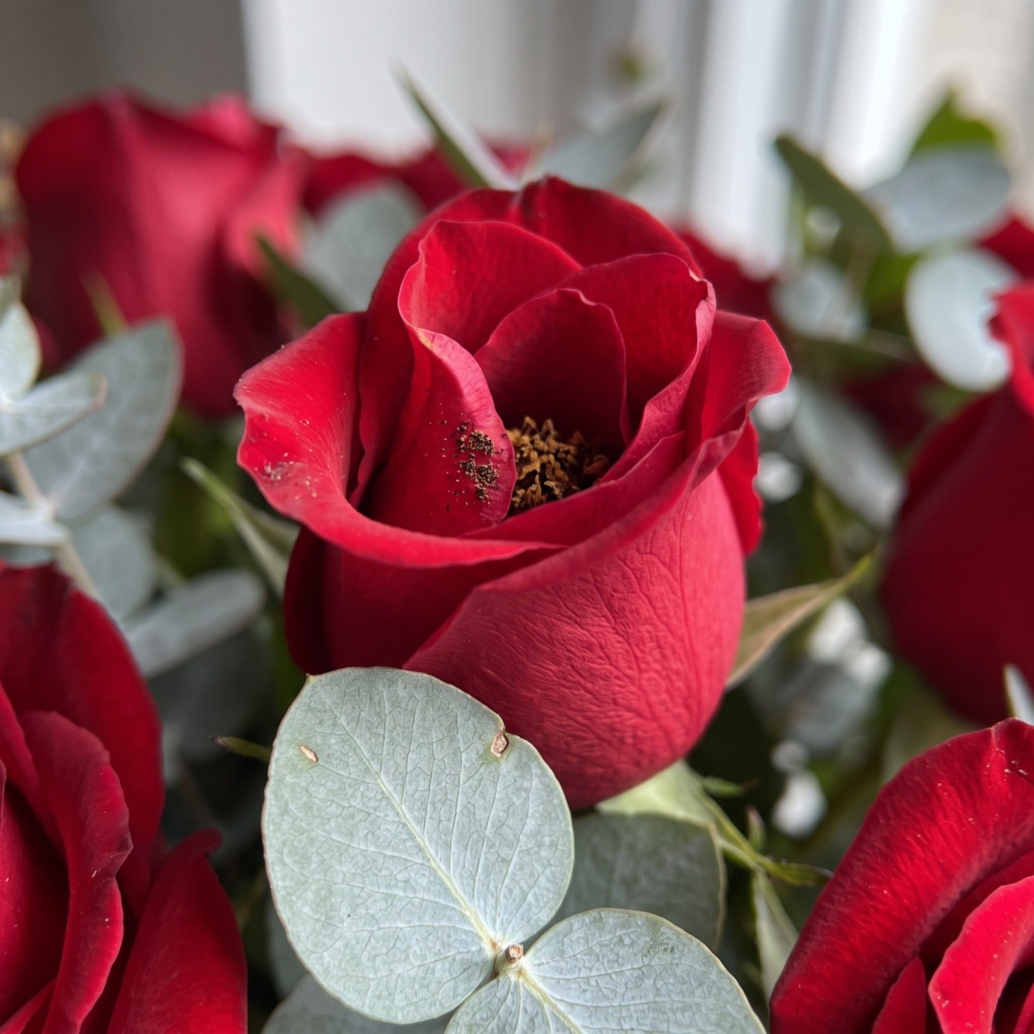 Buquê Luxuoso de Rosas c/ Eucalipto